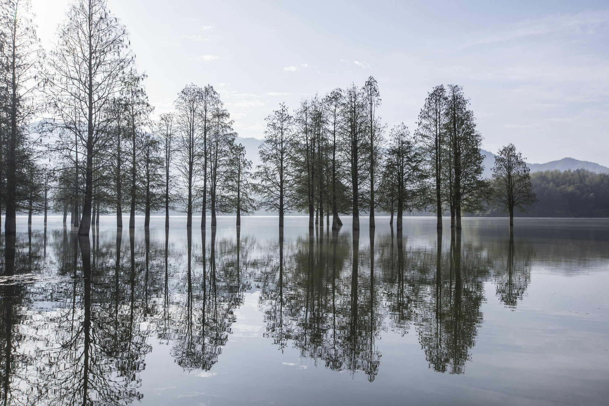 Banyan Tree Hotel Huangshan-The Ancient Charm Of Huizhou, A Paradise Luaran gambar
